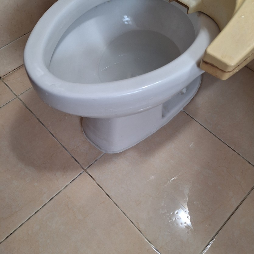 7c4ce6d60d05495e443f3cb5afa8ffbb_1761183439_9957.jpg